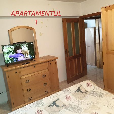 Apartament cu 2 camere,ultracentral în Arad Extérieur photo