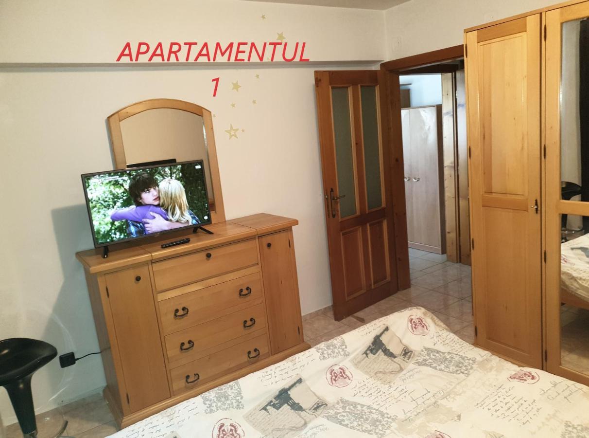 Apartament cu 2 camere,ultracentral în Arad Extérieur photo