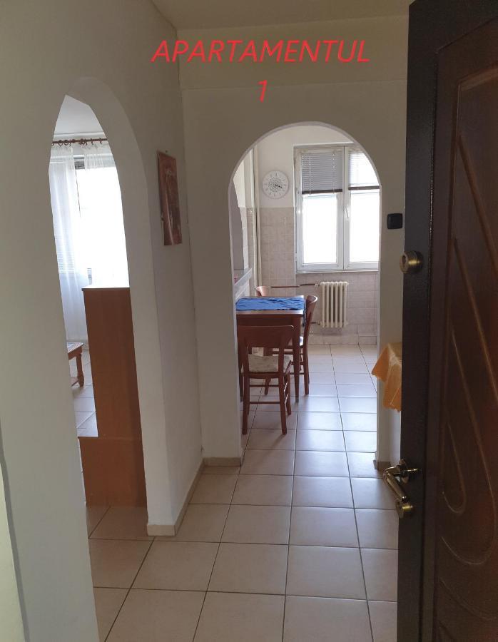 Apartament cu 2 camere,ultracentral în Arad Extérieur photo